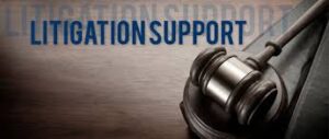 Banking Litigation Support